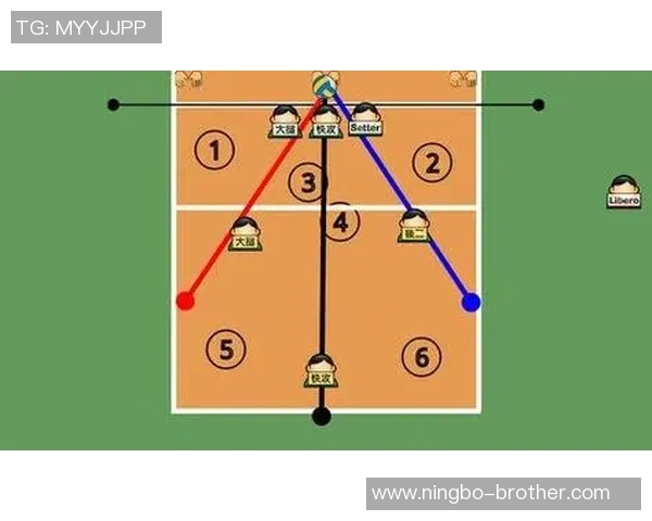 成都排球队进攻体系解析：排球战术的创新与实践探讨
