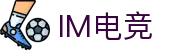 IM(股份有限公司)电竞-电子竞技平台